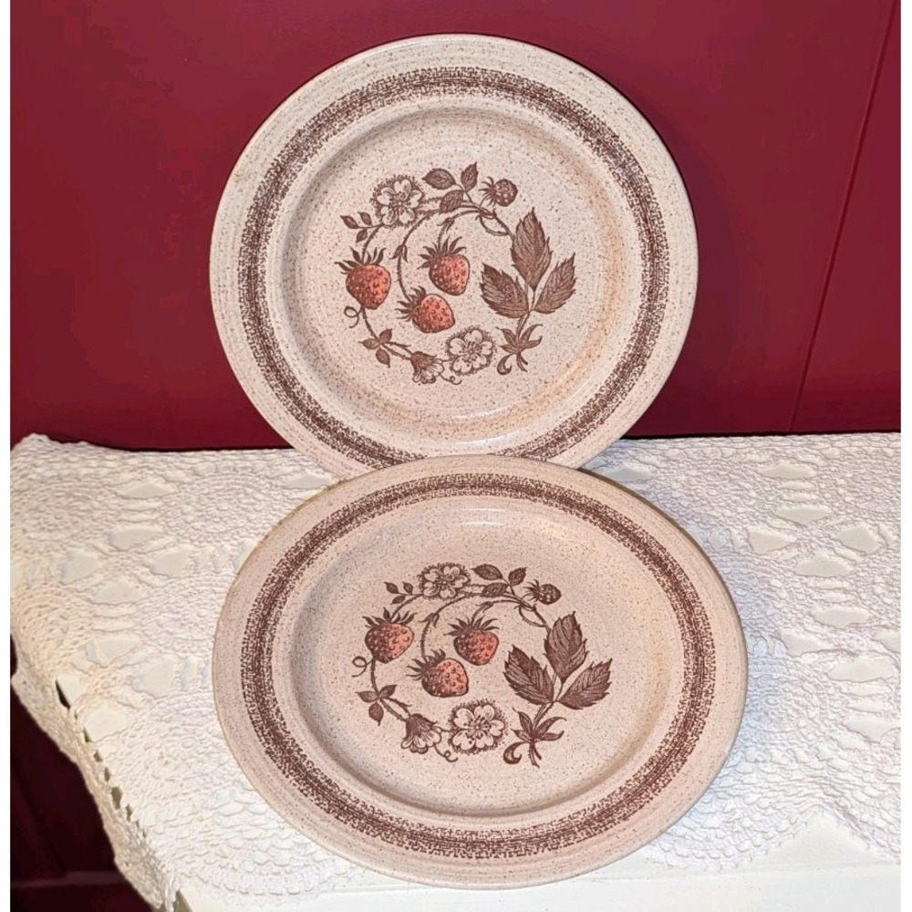 Homespun By Churchill Stonecast Wild Strawberry Dinner Plate 10 1/4" Lot Of 2